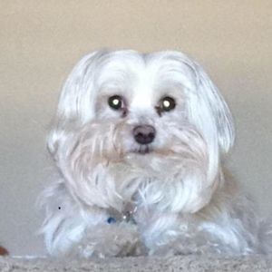 Meet your Posher, Theresa